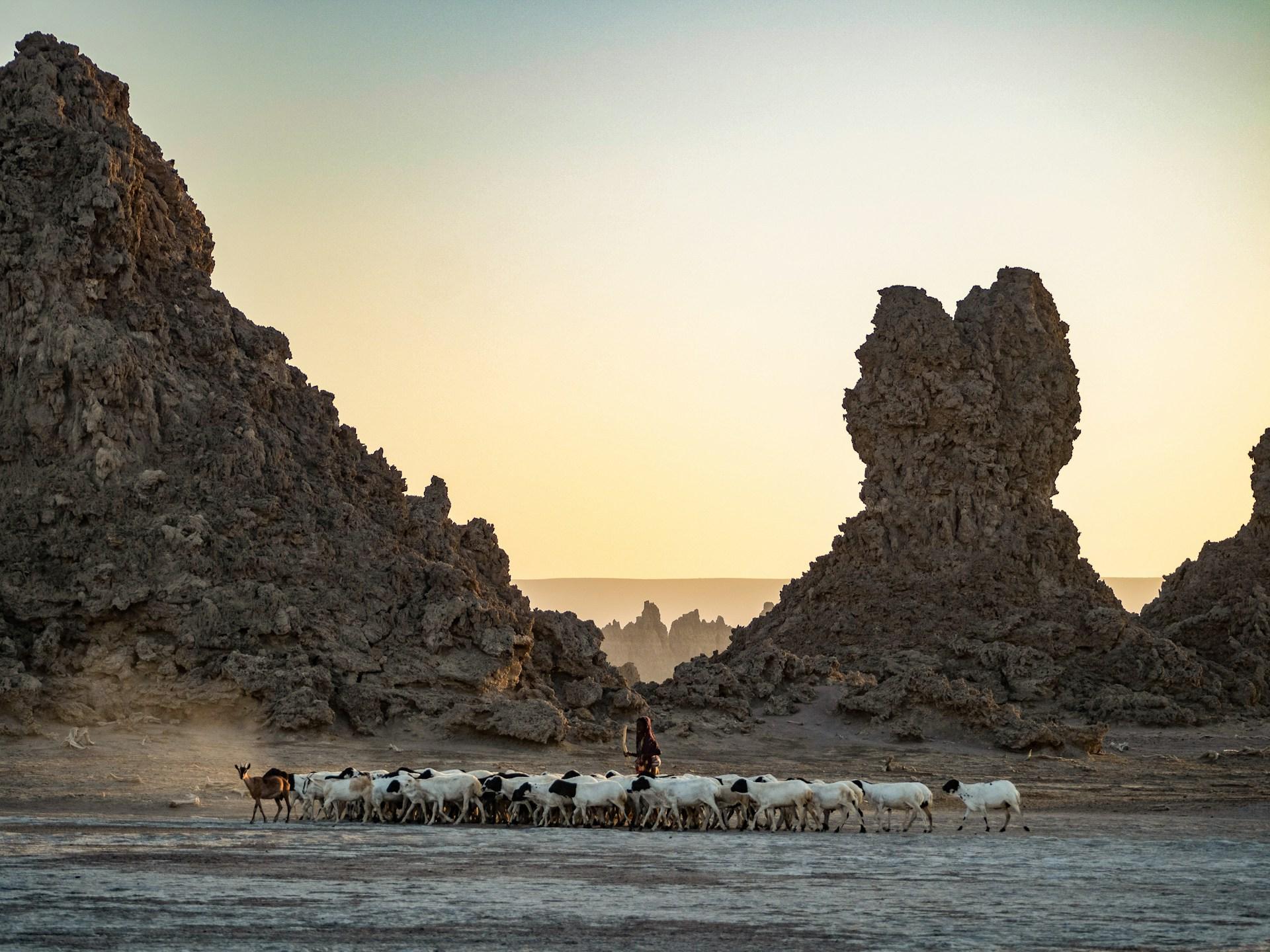 Driving in Djibouti