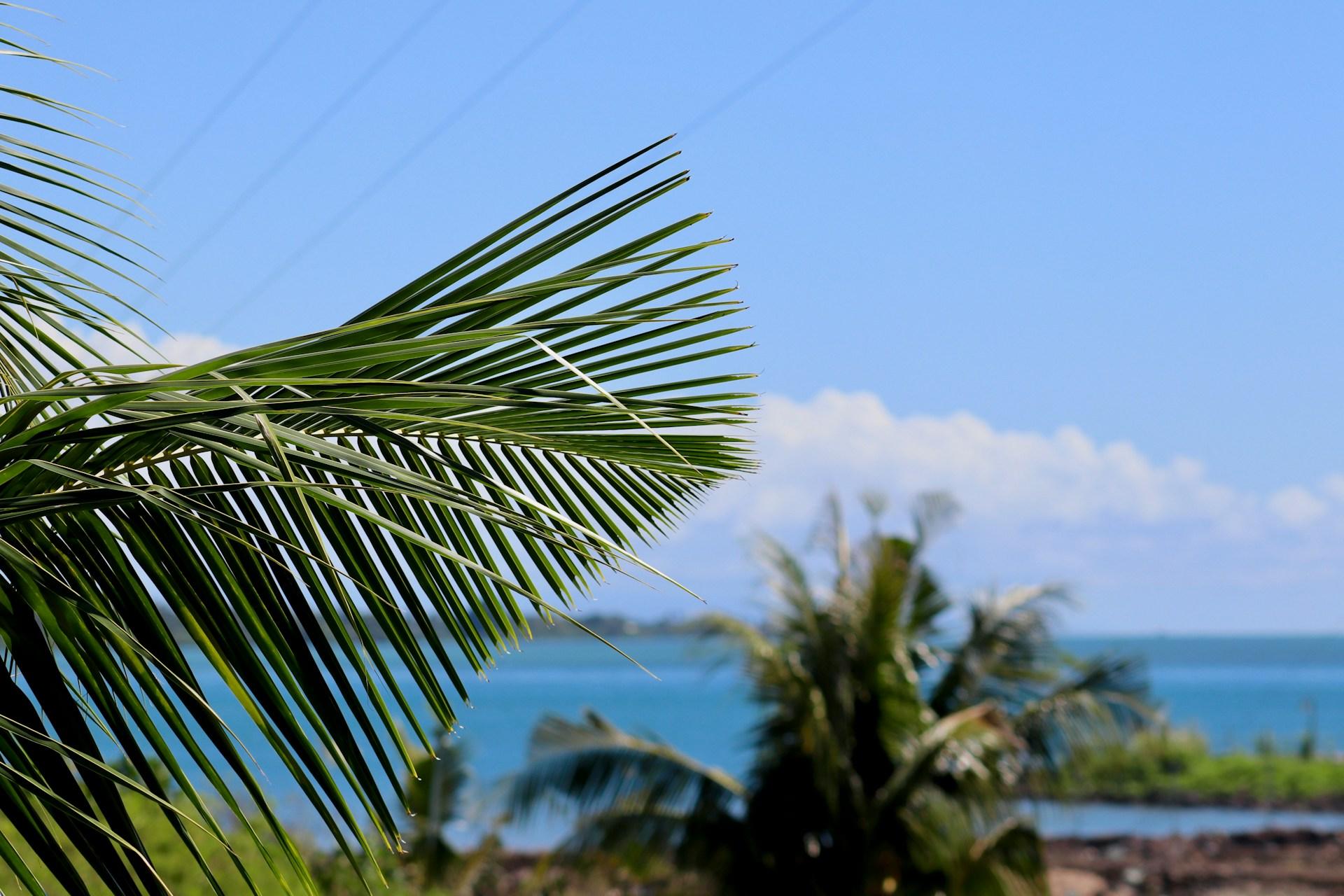 Driving in Western Samoa